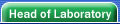 Head of Laboratory